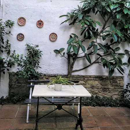 Albucasis Hotell Córdoba